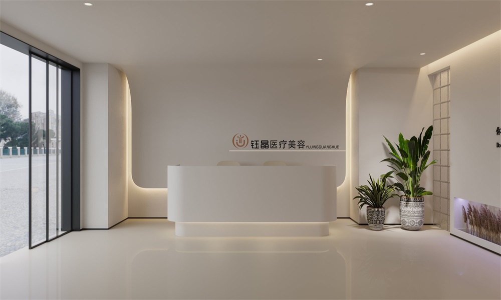 湖州輕醫(yī)美機構裝修設計案例效果圖